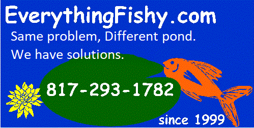 Everything Fishy Home Page. 