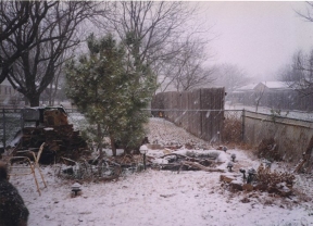 Winter 1995-1996