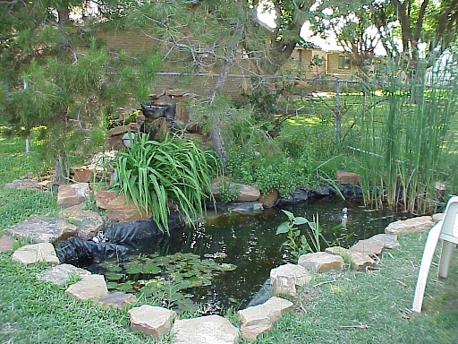 Burkhart pond and falls.