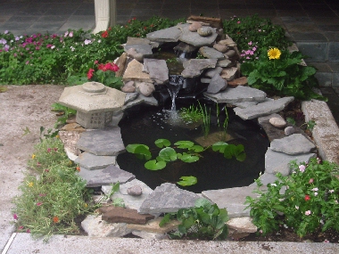 Pond services and information