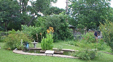 Landscaping and pond from a distance.
